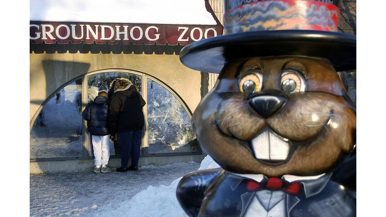 Punxsutawney Phil Makes His Annual Appearance