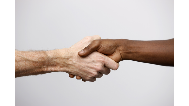 Two People Shaking Hands