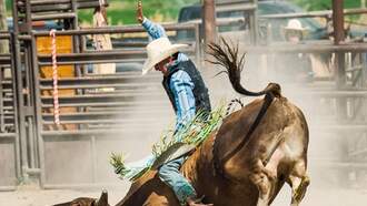 The Latest Update on This Years Los Fresno's Rodeo