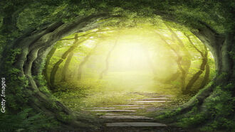 Strange & Anomalous / Open Lines