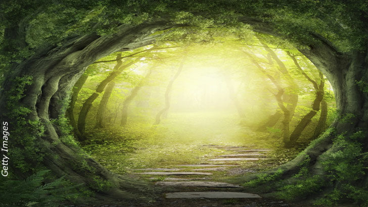 Strange & Anomalous / Open Lines