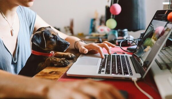 Window Work: time for both business and personal