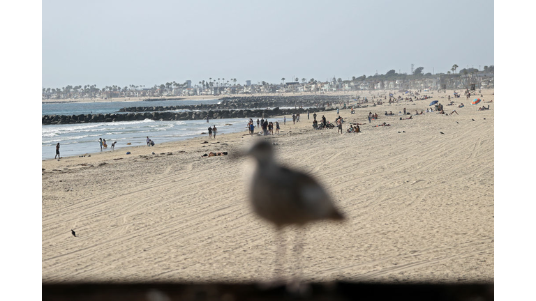 California Governor Newsom Orders All Beaches In State To Close