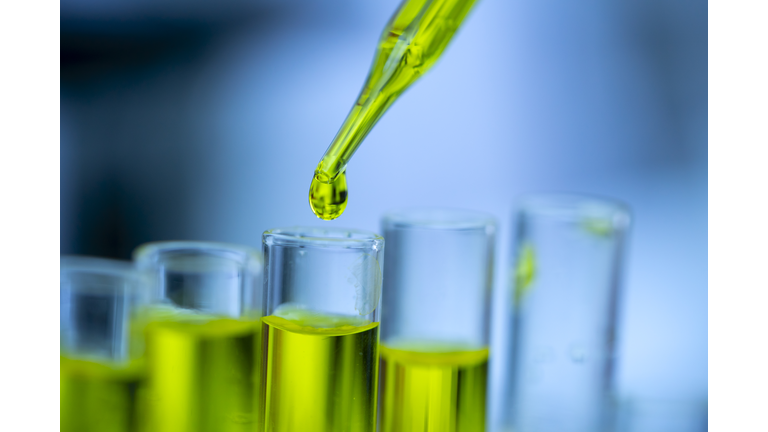 Closeup of a female scientist in a laboratory working with CBD oil extracted from a marijuana plant. She is tearing the CBD oil from one tube into another