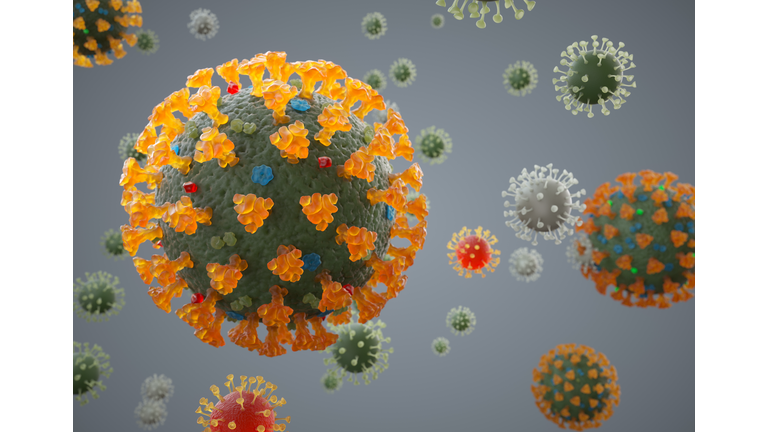 Coronavirus structure