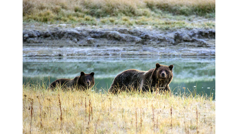 US-PARKS-YELLOSTONE NATIONAL PARK