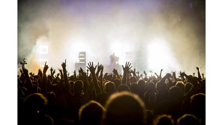 Fans with raised arms at music Festival