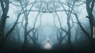 Coronavirus Conspiracy / Spirit Communication