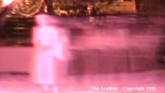 Tim Scullion Ghost Images