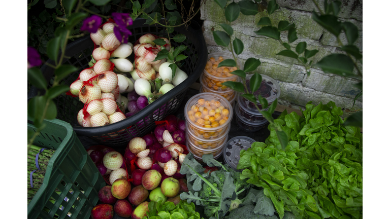 ECUADOR-HEALTH-VIRUS-ORGANIC FOOD