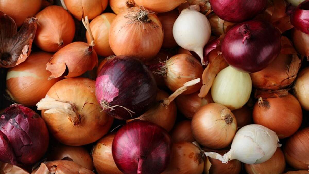 Onion Recall has Expanded Again and Now Includes Products Sold in