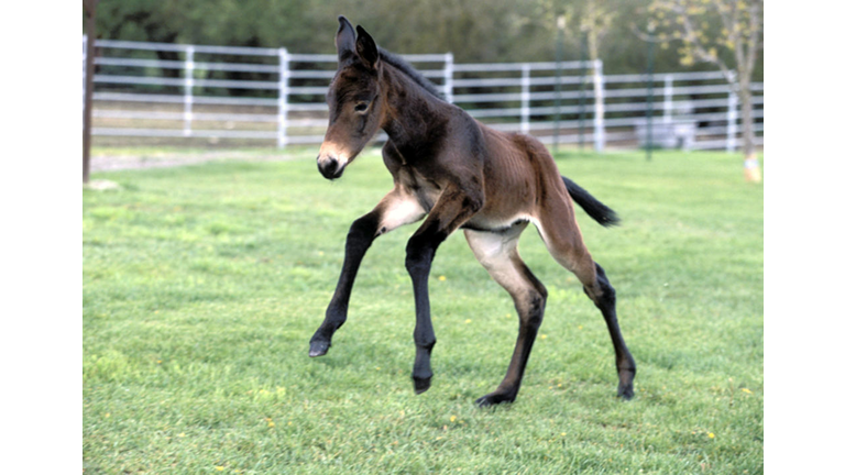 Copyright 2020 Getty Images