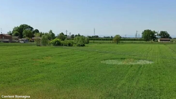 First Crop Circle of 2020 Found in Italy