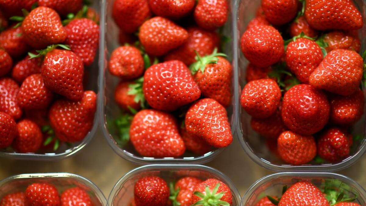Tik Tok Has People Soaking Their Strawberries In Search Of Tiny Bugs