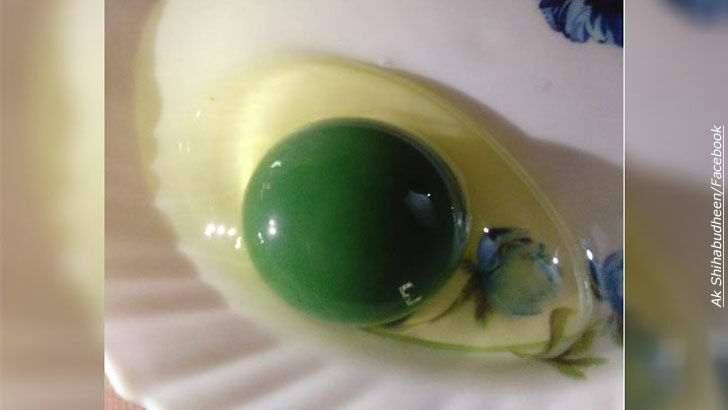 Mystery of Green Egg Yolks