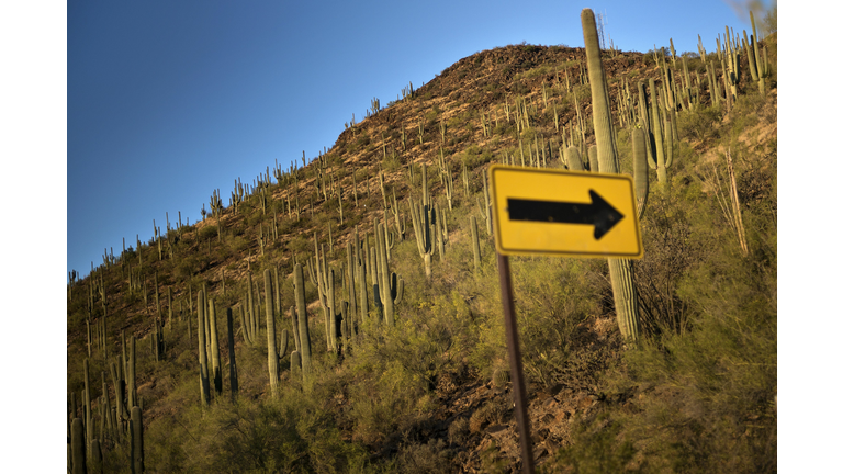 US-LANDSCAPE-TUCSON