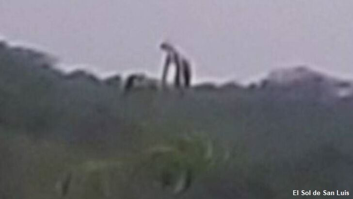 Mysterious 'Giant' Spotted in Mexico