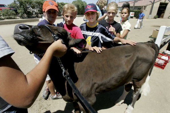 The San Diego County Fair Comes to Southern California