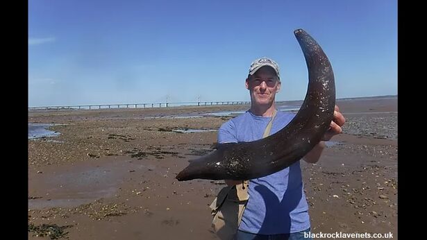 Massive Ancient Animal Horn Found in Wales | Coast to Coast AM