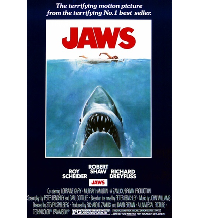 #6 - JAWS