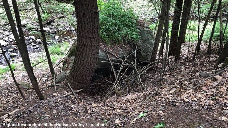 Bigfoot Dens Found in New York?