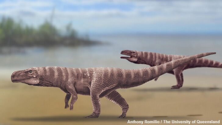 Bipedal Crocodiles Suggested for Source of Odd Fossil Footprints