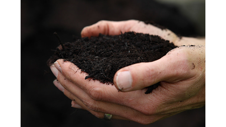 San Francisco Leads Nation In Organized Drive To Compost City Waste