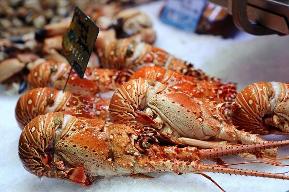 FRANCE-FOOD-LOBSTERS