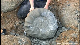 Huge Ammonite Fossil Found in England