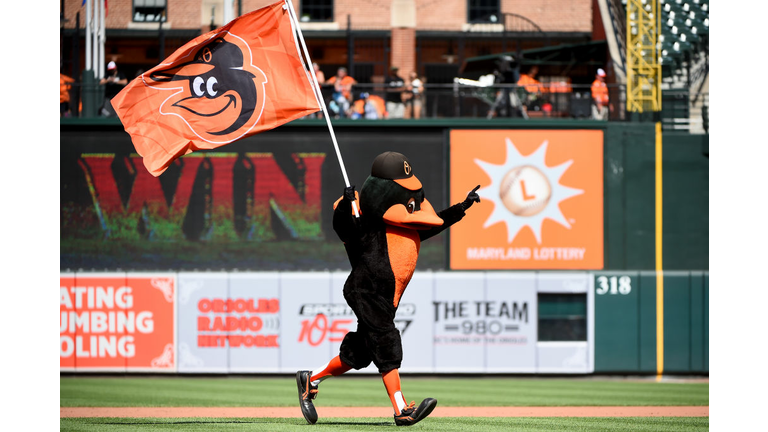 ICYMI: Baltimore Orioles Mascot is a Hall of Famer