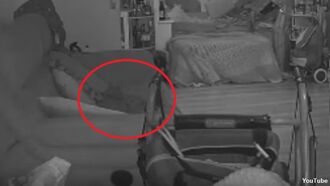 Watch: Pet Camera Films Ghost Cat?