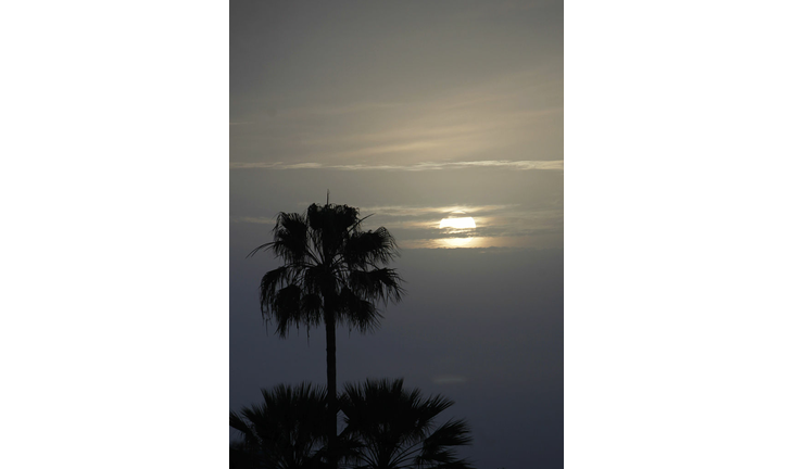 Sahara Dust comes to Florida