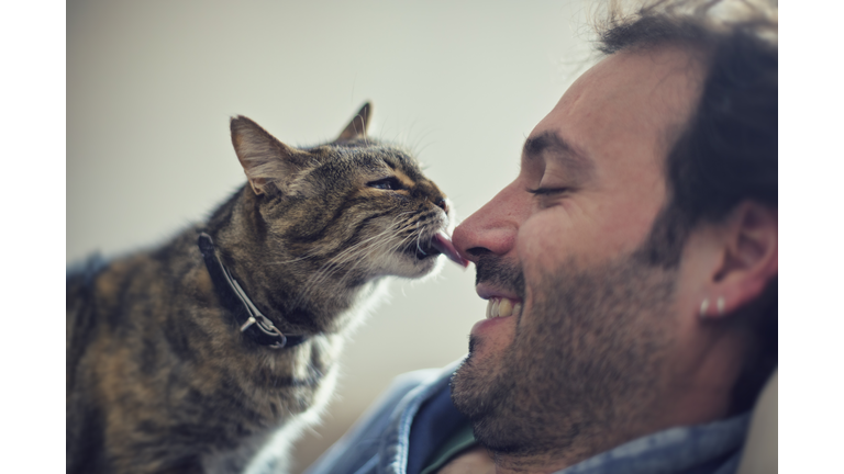 Cat licking man's nose