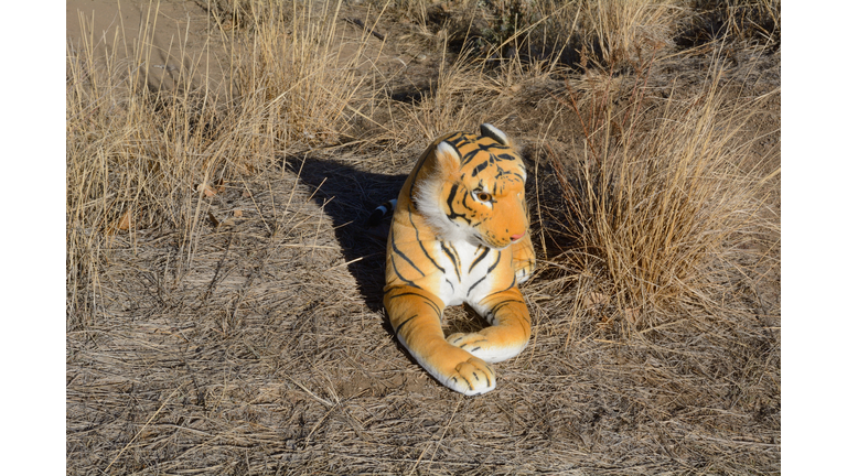 Stuffed toy tiger