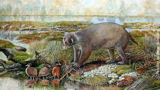 A Giant Wombat-Like Creature Once Roamed the Earth