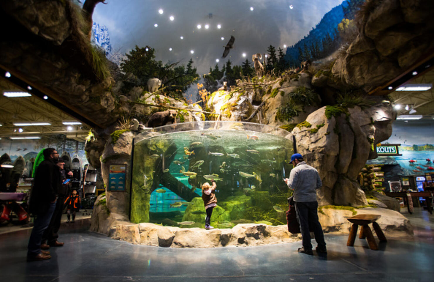 Someone Finally Jumped Into a Fish Tank at a Bass Pro Shop