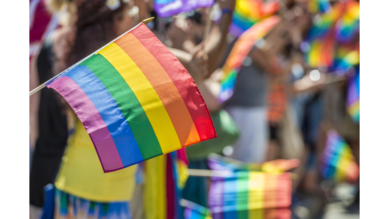 Close-Up Of Rainbow Flag With Crowd In Background During Parade