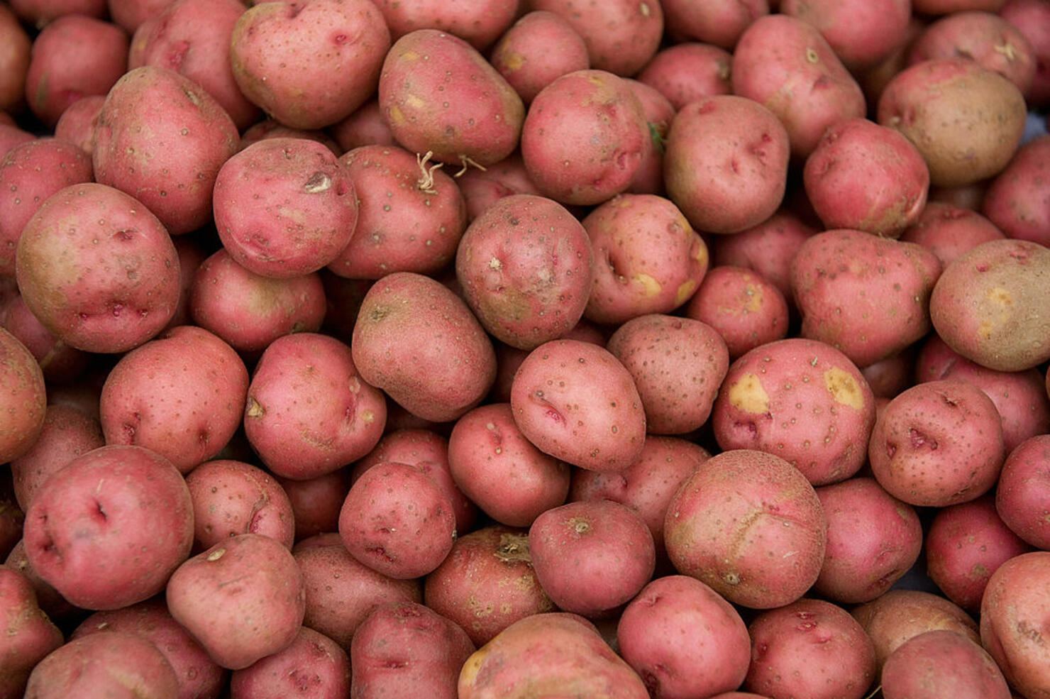 Red potatoes are offered for sale at Eas
