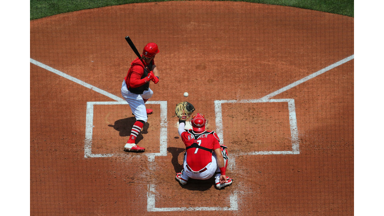 St Louis Cardinals Summer Workouts
