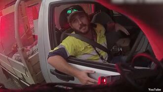 Video: Australian Man Fends Off Venomous Snake While Driving