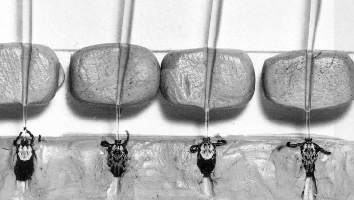 Kris Newby Photos 7/11/20