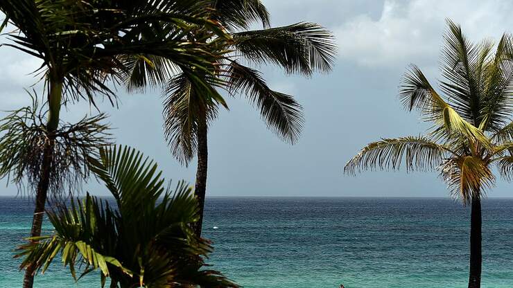 Barbados To Offer 1 Year Visa So You Can Work From The