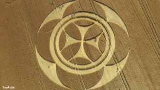 'Templar Cross' Crop Circle Found in France Torments Farm Owners
