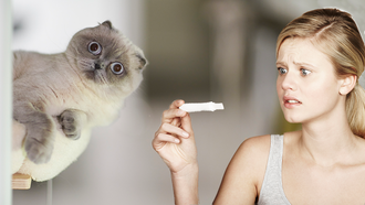 Cat Gets Woman Pregnant... Kind Of