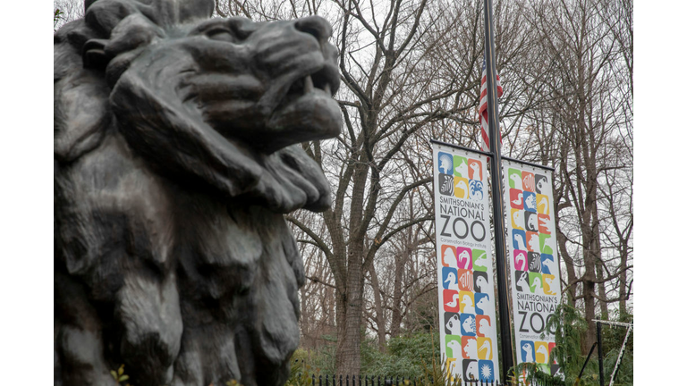 Smithsonian Forced To Close Museums And Zoo As Government Shutdown Continues