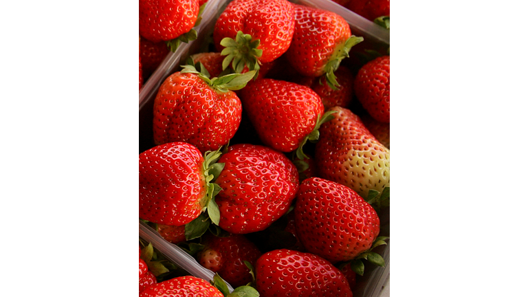 Palestinian Farmers Harvest Strawberries