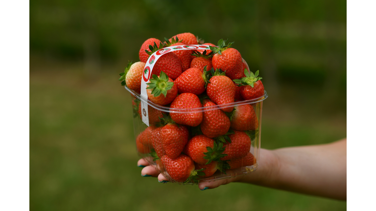 BRITAIN-HEALTH-VIRUS-STRAWBERRIES