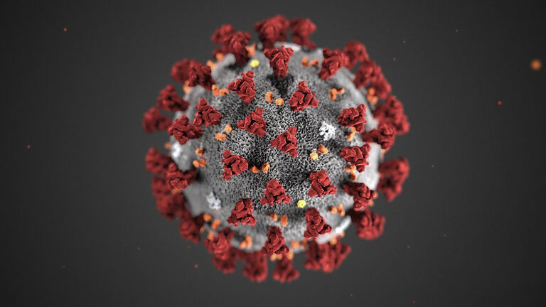 The world surpassed a grim milestone (Thursday) -- there have now been 30 million confirmed COVID-19 cases worldwide. We passed 10 million cases on June 29th and 20 million on August 10th.