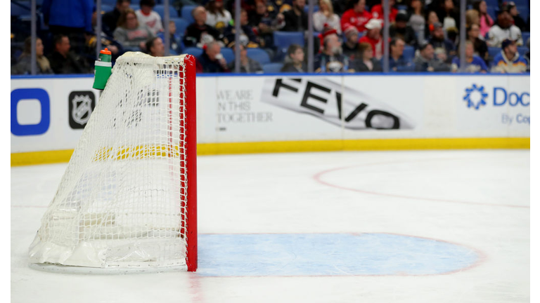Detroit Red Wings v Buffalo Sabres