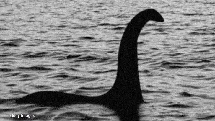  First On-Site Nessie Sighting of 2020 Recorded